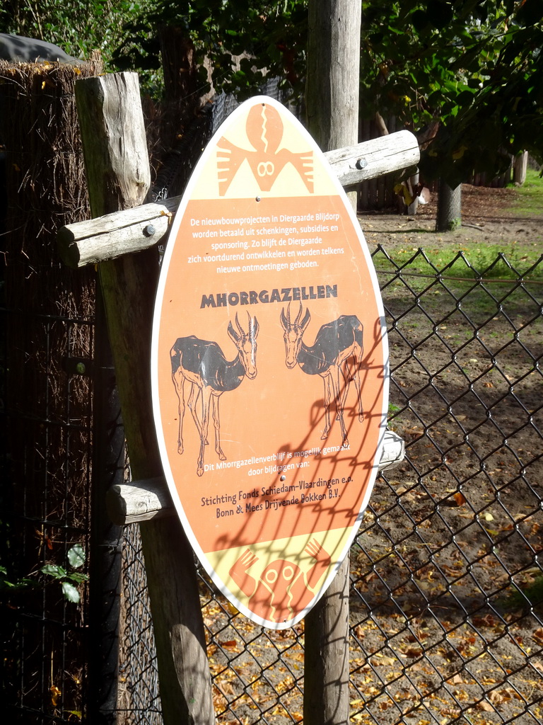 Explanation on the Mhorr Gazelle at the Africa area at the Diergaarde Blijdorp zoo