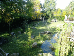 The Spotted Hyena enclosure at the Africa area at the Diergaarde Blijdorp zoo