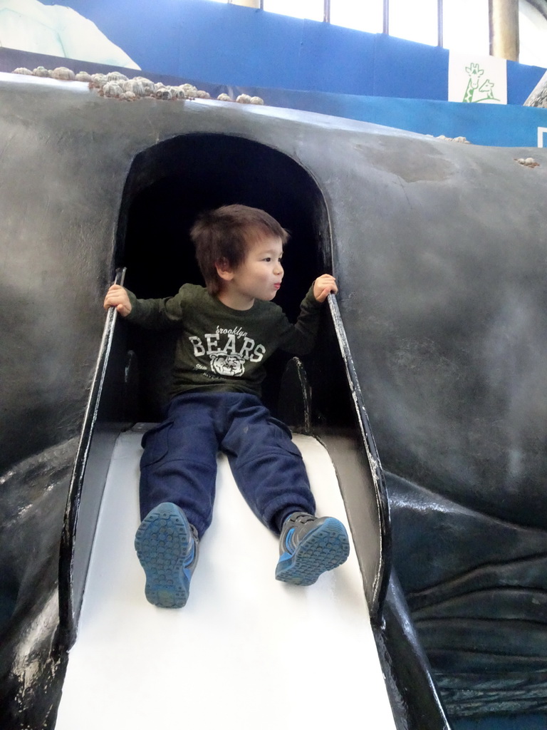 Max on the slide in a Whale statue at the Biotopia playground in the Rivièrahal building at the Africa area at the Diergaarde Blijdorp zoo