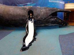 Max on the slide in a Whale statue at the Biotopia playground in the Rivièrahal building at the Africa area at the Diergaarde Blijdorp zoo