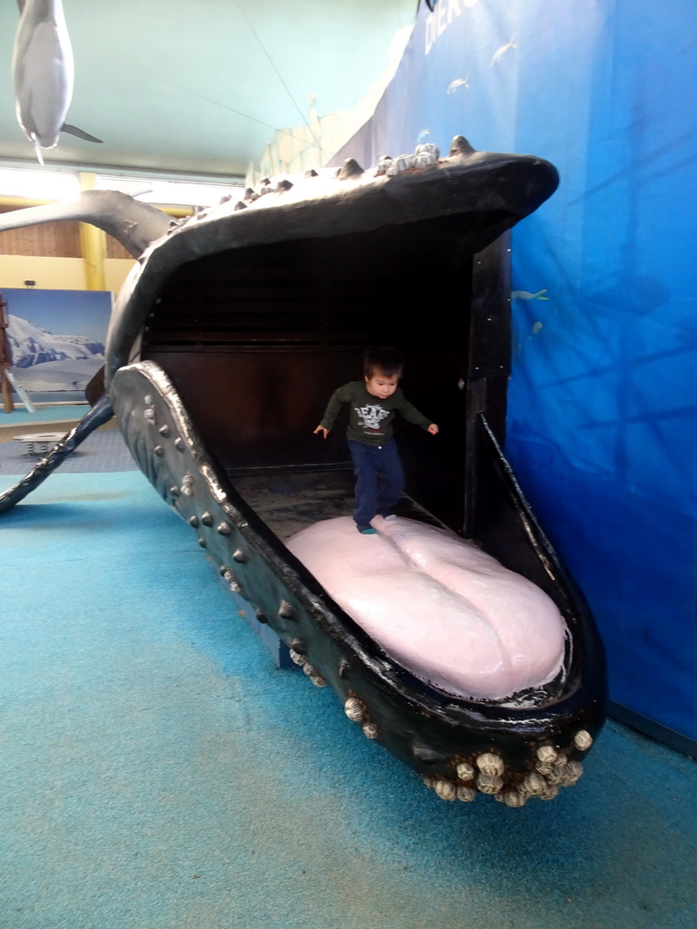 Max in a Whale statue at the Biotopia playground in the Rivièrahal building at the Africa area at the Diergaarde Blijdorp zoo