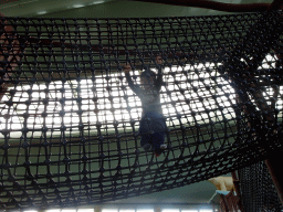 Max at the Biotopia playground in the Rivièrahal building at the Africa area at the Diergaarde Blijdorp zoo