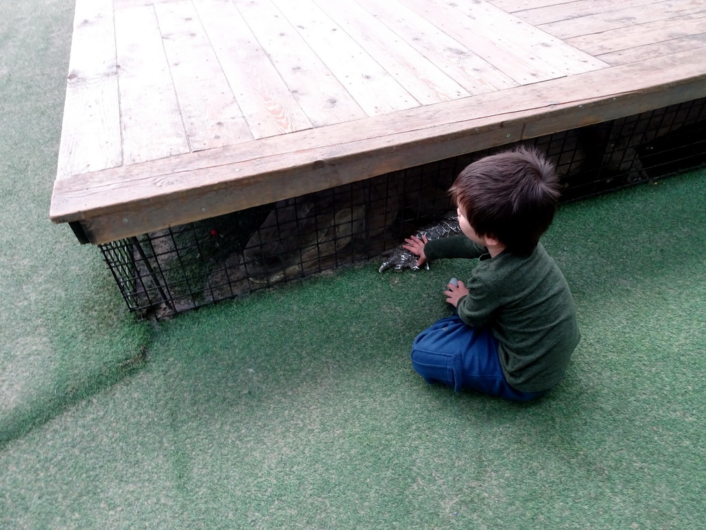 Max with a Crocodile statue at the Biotopia playground in the Rivièrahal building at the Africa area at the Diergaarde Blijdorp zoo