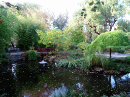 The Chinese Garden at the Asia area at the Diergaarde Blijdorp zoo