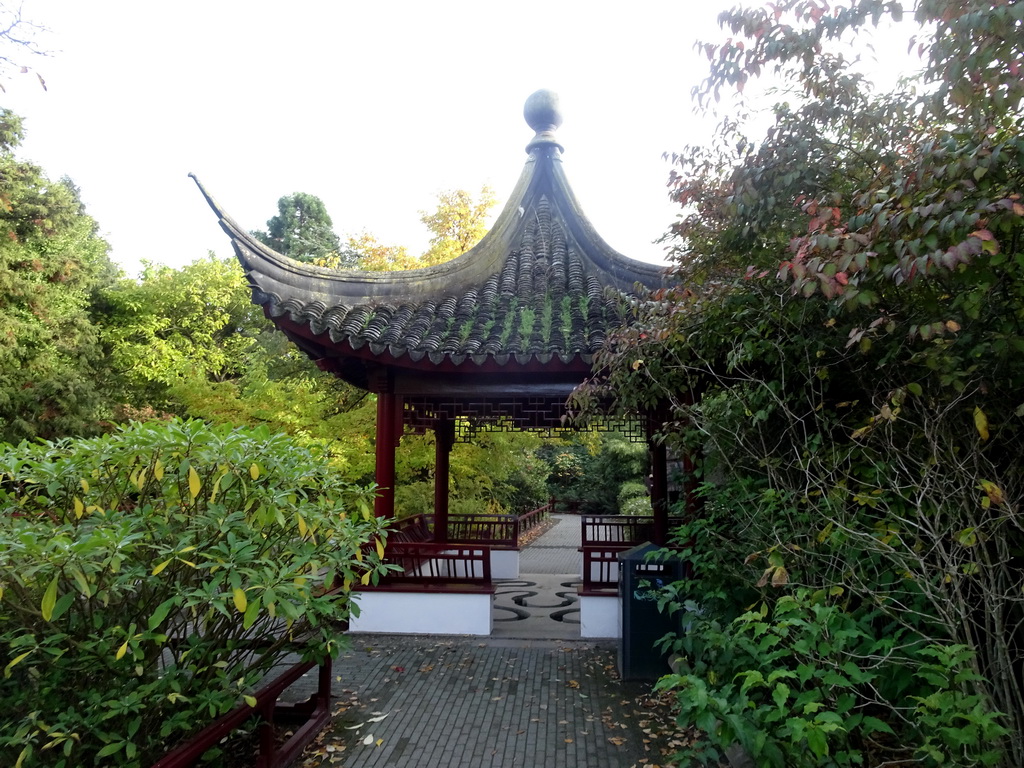 Pavilion at the Chinese Garden at the Asia area at the Diergaarde Blijdorp zoo