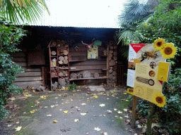 Mason Bee building at the Asia area at the Diergaarde Blijdorp zoo, with explanation