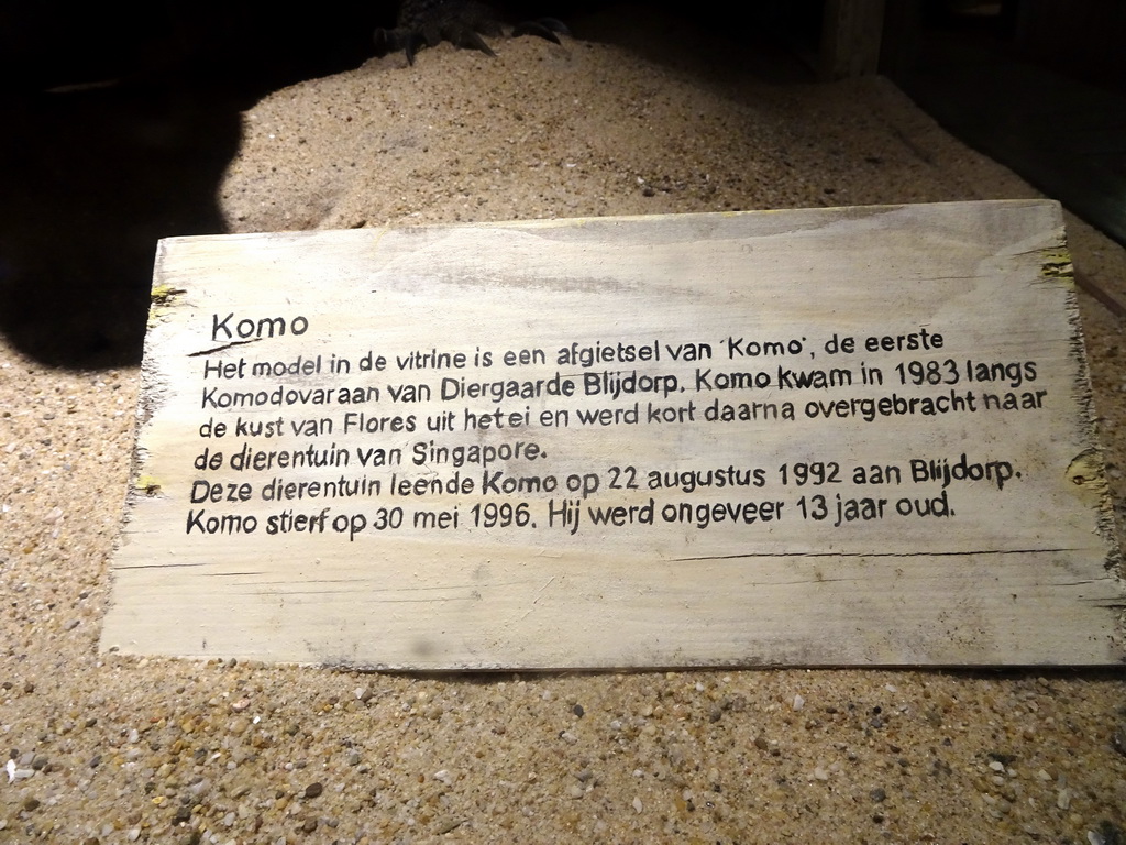Explanation on the model of `Komo` the Komodo Dragon at the Asia House at the Asia area at the Diergaarde Blijdorp zoo