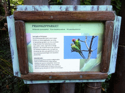 Explanation on the Plum-headed Parakeet at the Asia area at the Diergaarde Blijdorp zoo