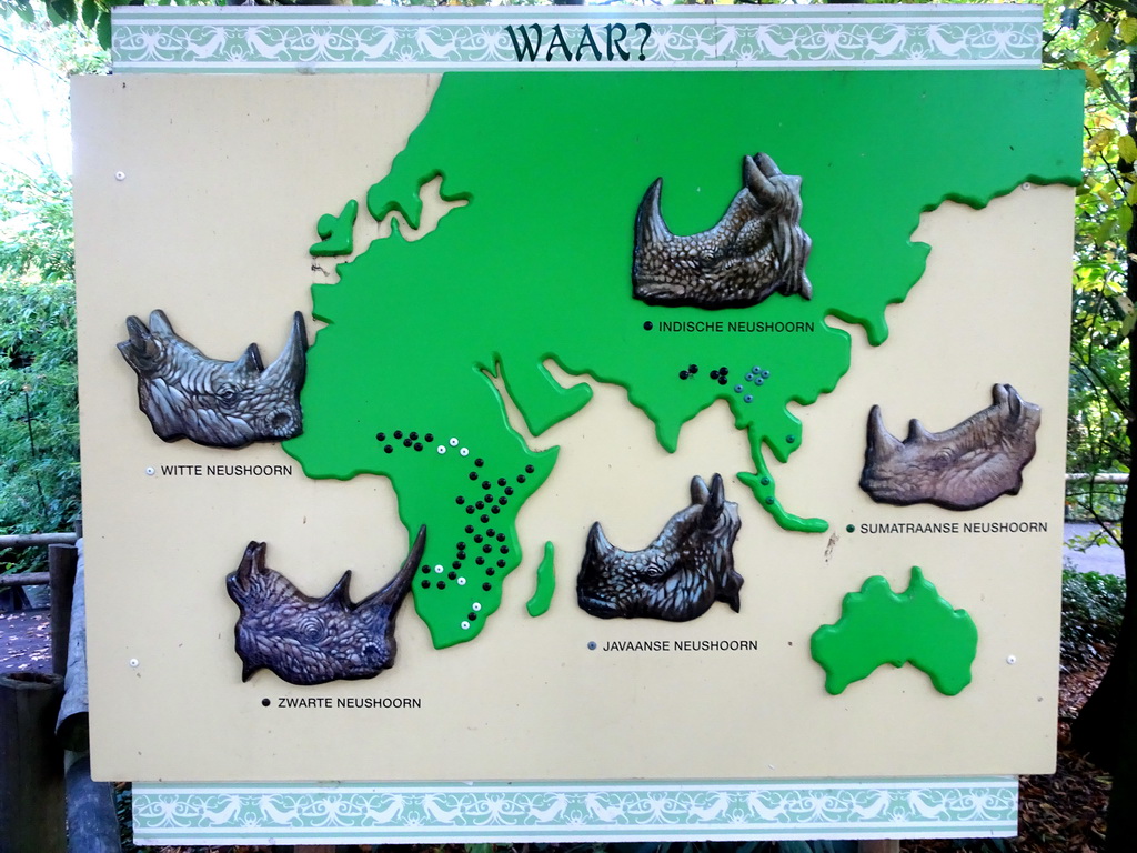 Information on the Rhinoceros species at the Asia area at the Diergaarde Blijdorp zoo