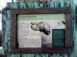 Explanation on the Great Indian Rhinoceros at the Asia area at the Diergaarde Blijdorp zoo