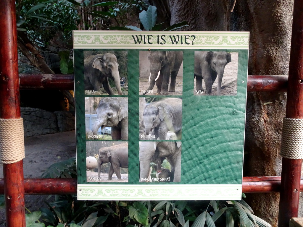 Names of the Indian Elephants at the Taman Indah building at the Asia area at the Diergaarde Blijdorp zoo