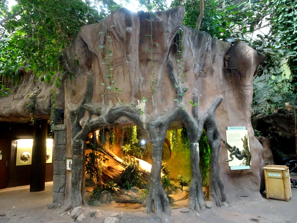 Model of a tree trunk with constrictor snakes at the Taman Indah building at the Asia area at the Diergaarde Blijdorp zoo