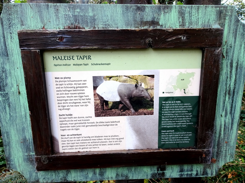 Explanation on the Malayan Tapir at the Asia area at the Diergaarde Blijdorp zoo
