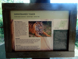 Explanation on the Sumatran Tiger at the Asia area at the Diergaarde Blijdorp zoo