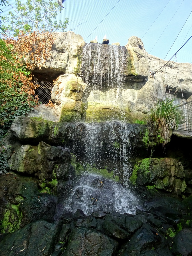 Waterfall at the Burung Asia section at the Asia area at the Diergaarde Blijdorp zoo