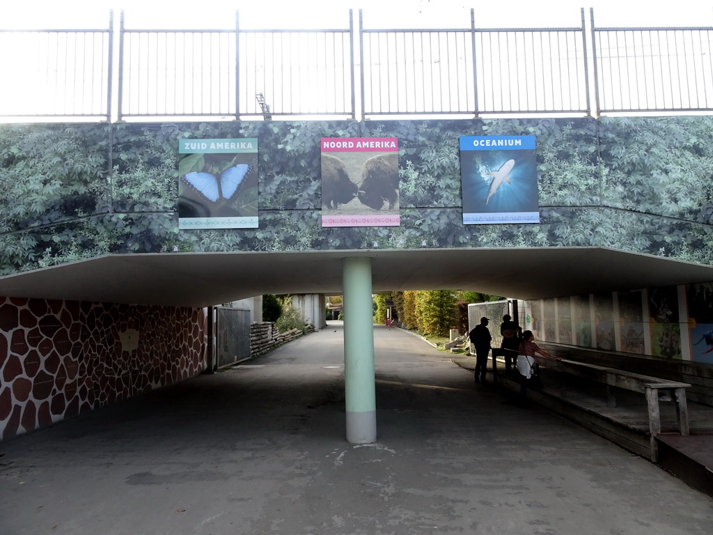 Tunnel to the Western part of the Diergaarde Blijdorp zoo