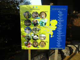 Information of the Dutch Zoo Federation at the Diergaarde Blijdorp zoo