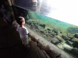 Max with fish at the Oceanium at the Diergaarde Blijdorp zoo