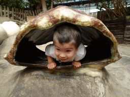 Max in a turtle shell at the Oceanium at the Diergaarde Blijdorp zoo