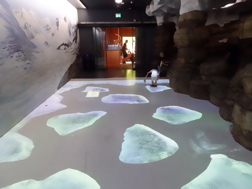 Max with projected ice floes at the Falklands section at the Oceanium at the Diergaarde Blijdorp zoo