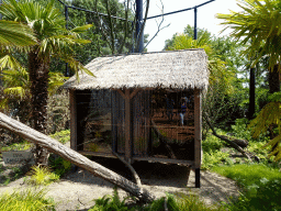 Wooden house at the Oceanium at the Diergaarde Blijdorp zoo
