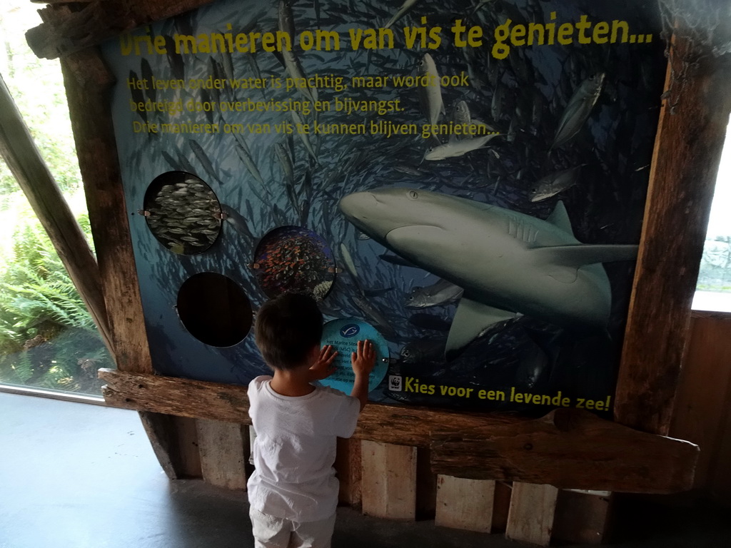 Max doing a puzzle at the Oceanium at the Diergaarde Blijdorp zoo