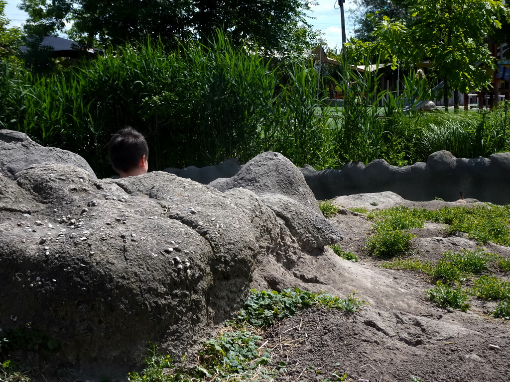 Max looking at Prairie Dogs at the North America area at the Diergaarde Blijdorp zoo