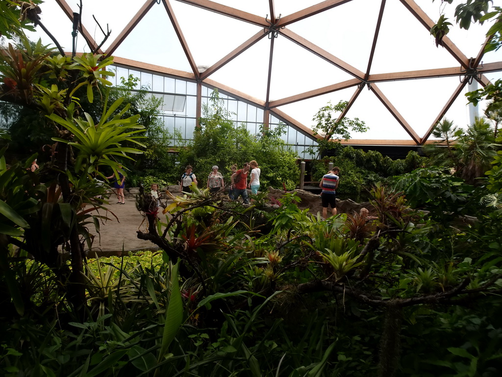 Interior of the Amazonica building at the South America area at the Diergaarde Blijdorp zoo