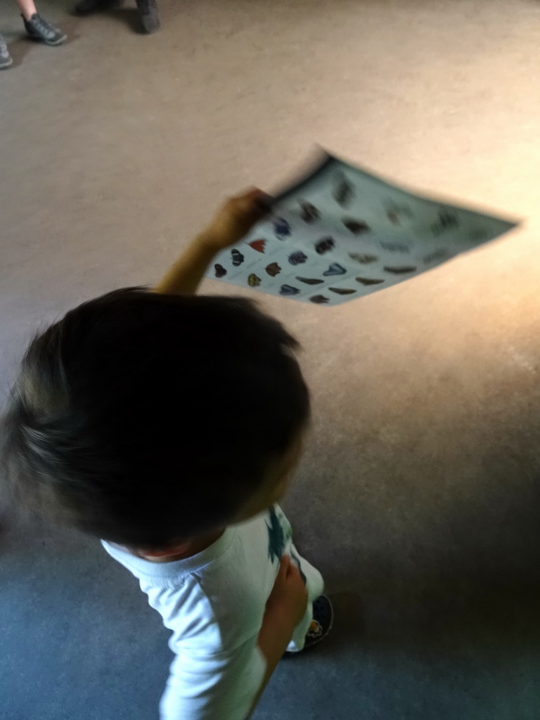 Max with a leaflet on butterfly species at the Amazonica building at the South America area at the Diergaarde Blijdorp zoo