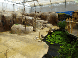 Interior of the Crocodile River at the Africa area at the Diergaarde Blijdorp zoo