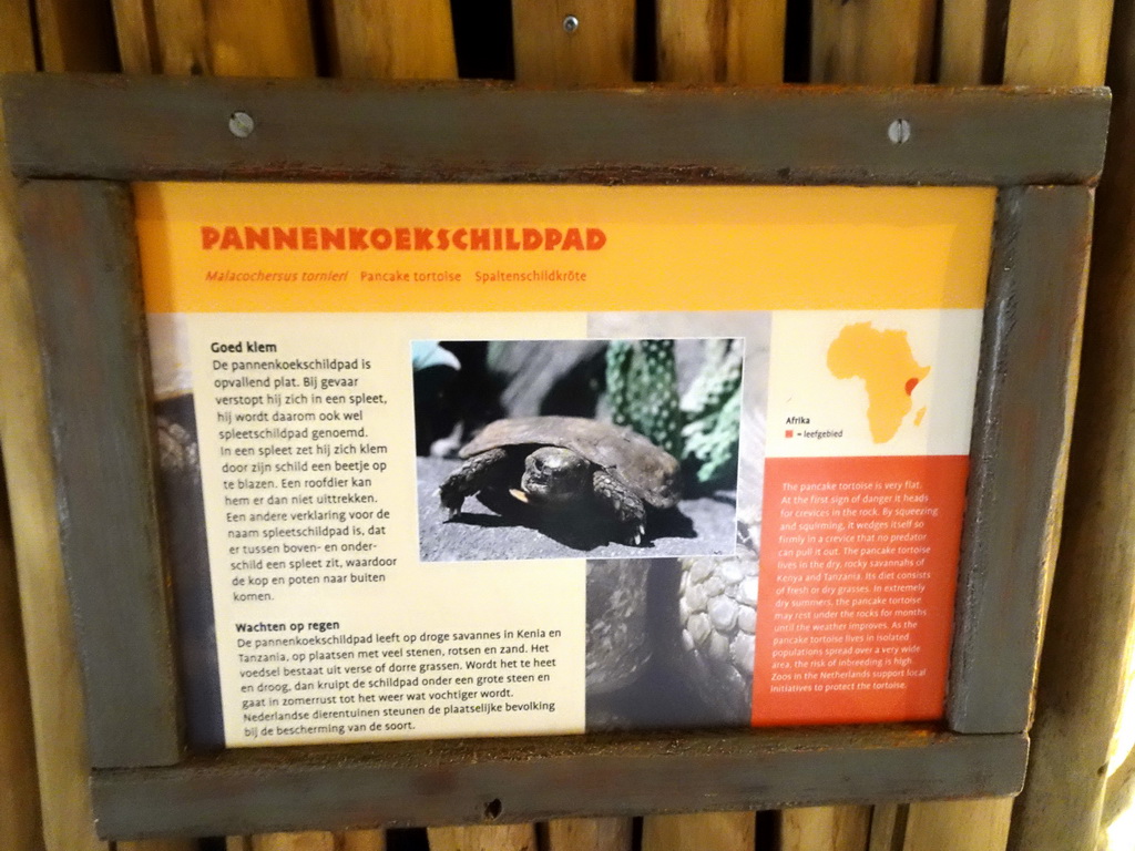 Explanation on the Pancake Tortoise at the Crocodile River at the Africa area at the Diergaarde Blijdorp zoo