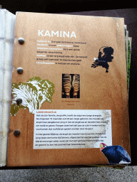 Information on the Okapi `Kamina` at the Congo section at the Africa area at the Diergaarde Blijdorp zoo