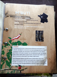 Information on the Okapi `M`Buti` at the Congo section at the Africa area at the Diergaarde Blijdorp zoo