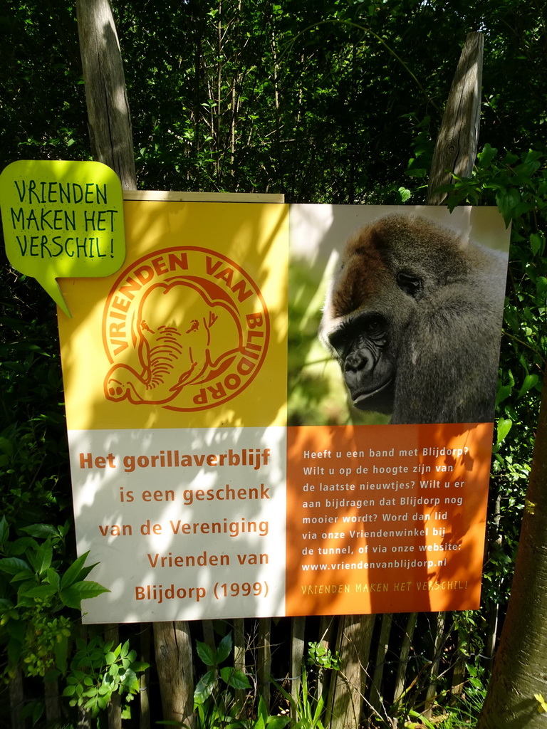 Information on the Western Lowland Gorilla enclosure at the Africa area at the Diergaarde Blijdorp zoo