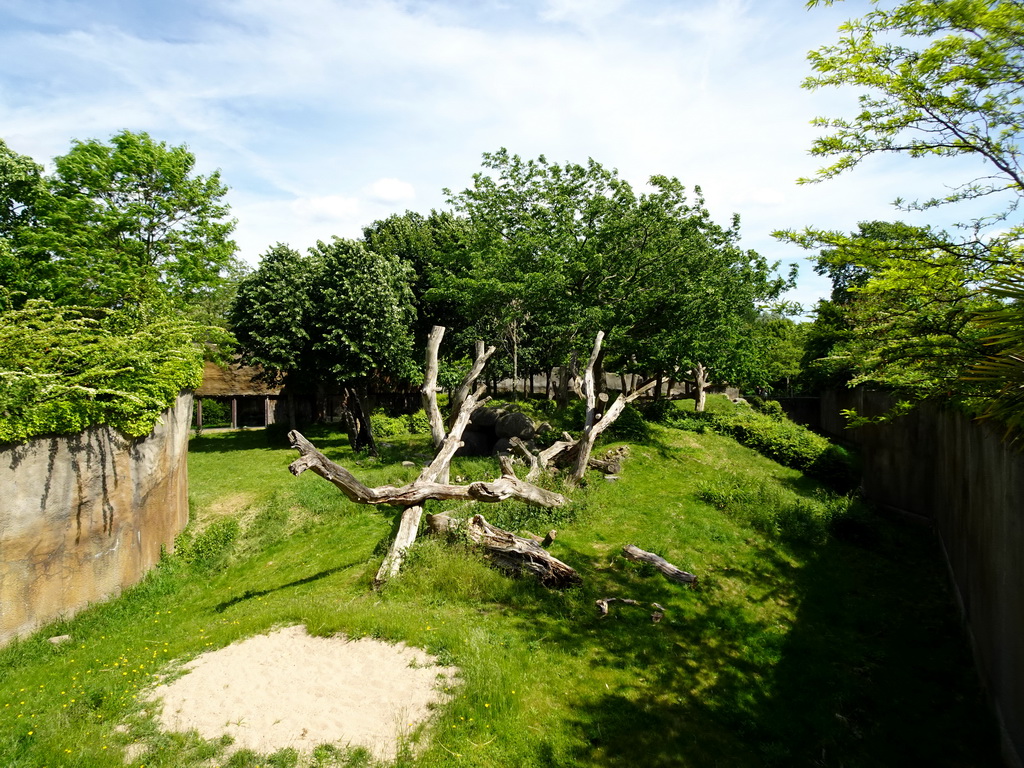 The Western Lowland Gorilla enclosure at the Africa area at the Diergaarde Blijdorp zoo