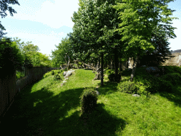 The Western Lowland Gorilla enclosure at the Africa area at the Diergaarde Blijdorp zoo