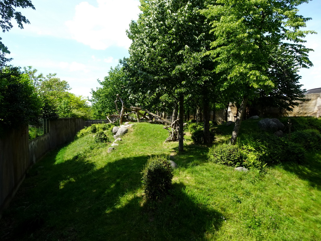 The Western Lowland Gorilla enclosure at the Africa area at the Diergaarde Blijdorp zoo