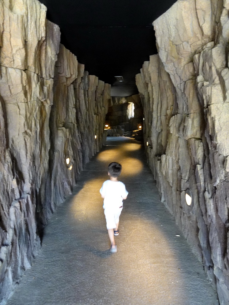 Max in the tunnel at the Gelada enclosure at the Africa area at the Diergaarde Blijdorp zoo