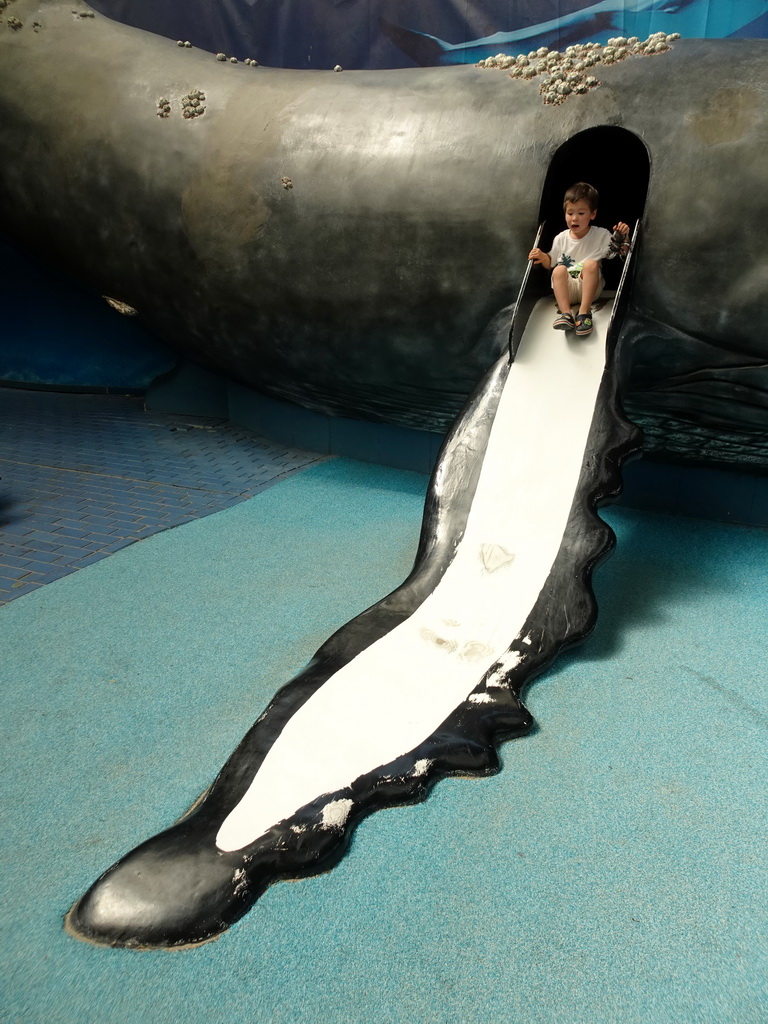 Max on the slide in a Whale statue at the Biotopia playground in the Rivièrahal building at the Africa area at the Diergaarde Blijdorp zoo