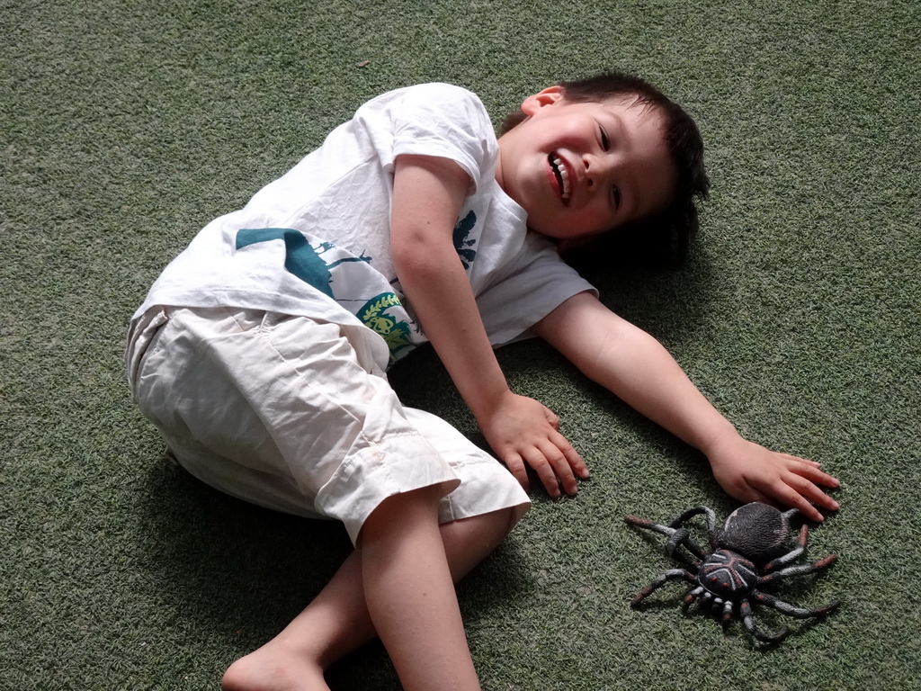 Max with a toy spider at the Biotopia playground in the Rivièrahal building at the Africa area at the Diergaarde Blijdorp zoo