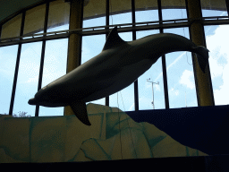Dolphin statue at the Biotopia playground in the Rivièrahal building at the Africa area at the Diergaarde Blijdorp zoo