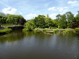 Central pond in front of the Rivièrahal building at the Asia area at the Diergaarde Blijdorp zoo