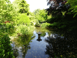 Pond with fish at the Chinese Garden at the Asia area at the Diergaarde Blijdorp zoo