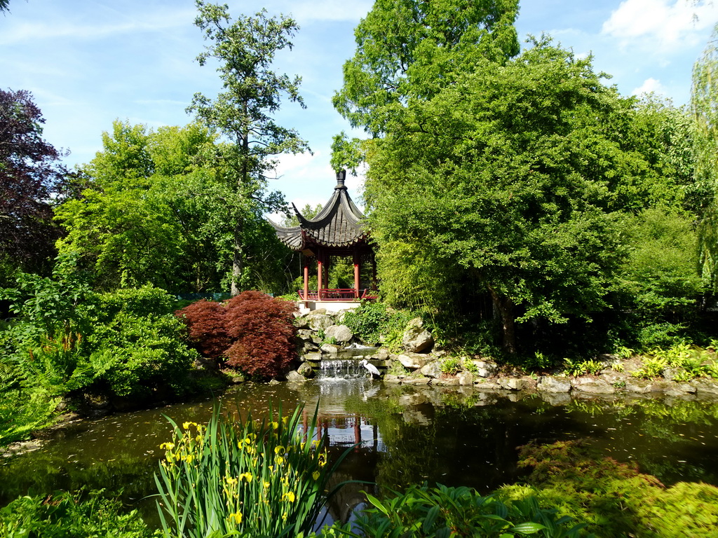 Pavilion and pond at the Chinese Garden at the Asia area at the Diergaarde Blijdorp zoo