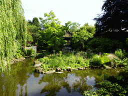Pavilion and pond at the Chinese Garden at the Asia area at the Diergaarde Blijdorp zoo