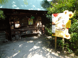 Beehives at the Asia area at the Diergaarde Blijdorp zoo