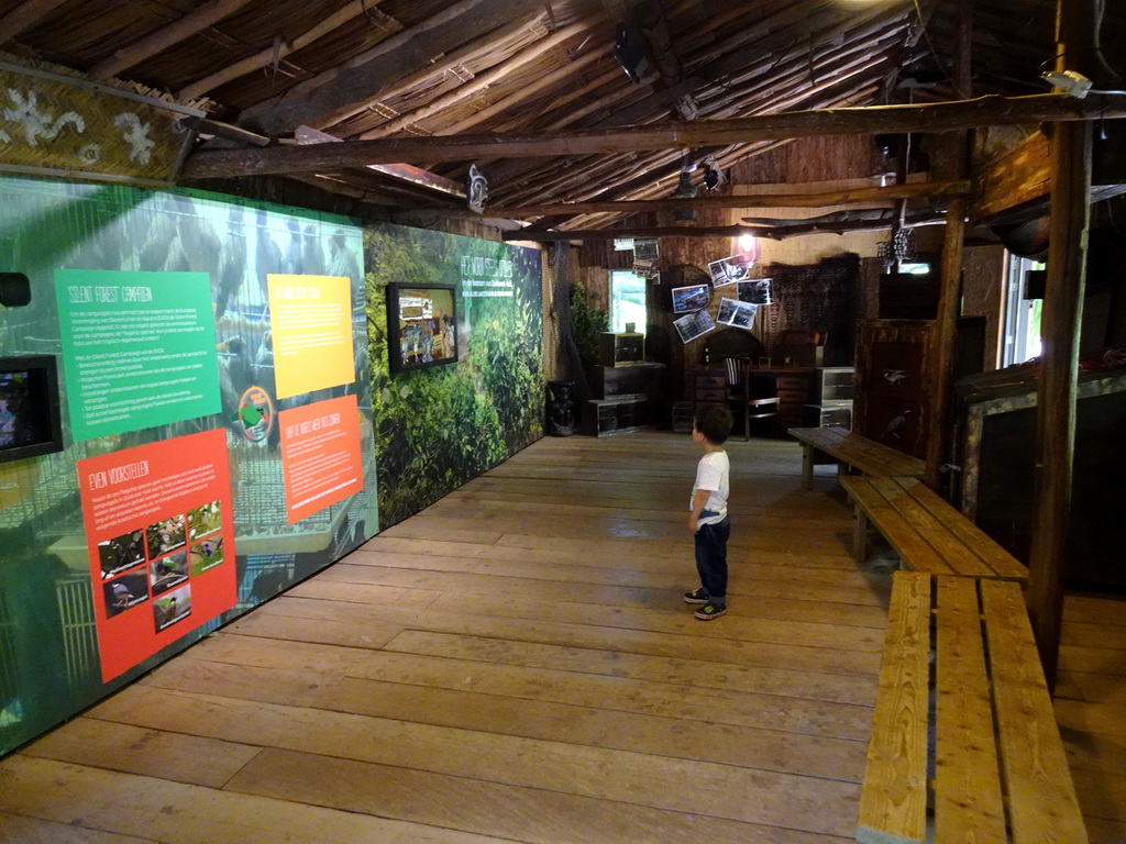 Max at the Longhouse at the Asia area at the Diergaarde Blijdorp zoo