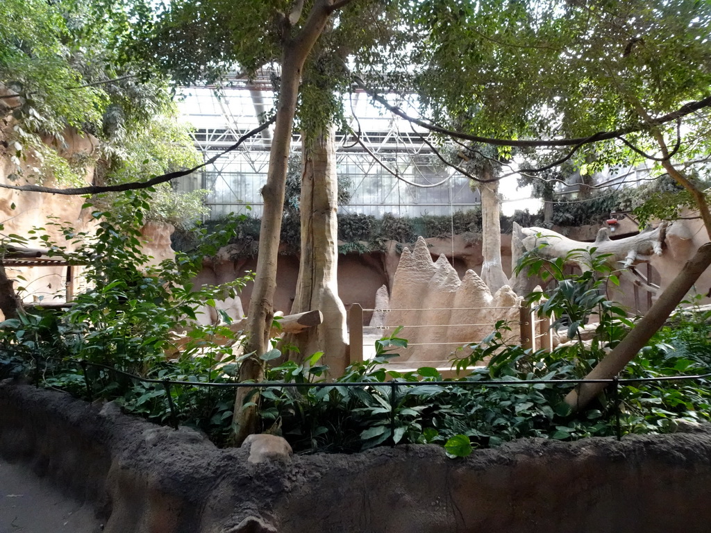 Interior of the Taman Indah building at the Asia area at the Diergaarde Blijdorp zoo