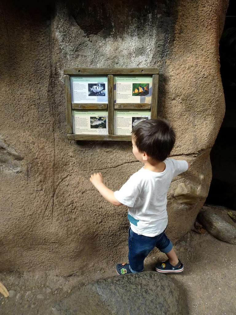 Max with explanations on the fish at the Taman Indah building at the Asia area at the Diergaarde Blijdorp zoo
