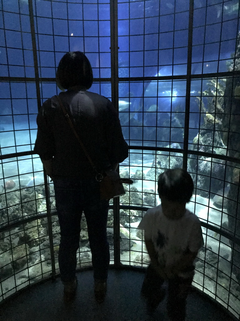 Miaomiao and Max with fishes at the Oceanium at the Diergaarde Blijdorp zoo